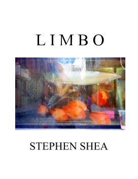 Limbo book cover