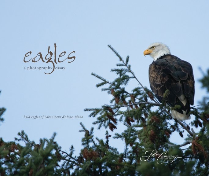 View Eagles - A Photography Essay by Jeff Cummings