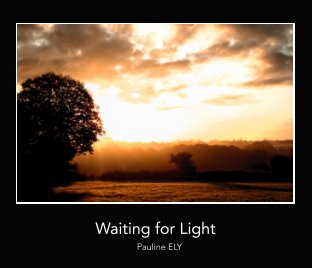 Waiting for light book cover