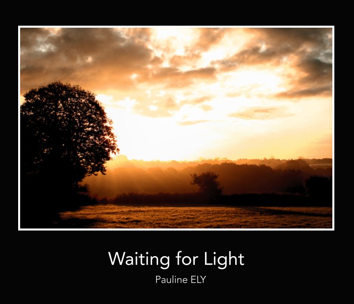 Bekijk Waiting for light op Pauline ELY