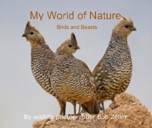 My World of Nature book cover