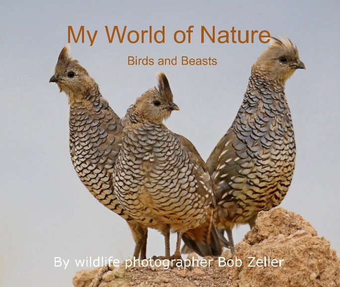 View My World of Nature by Bob Zeller