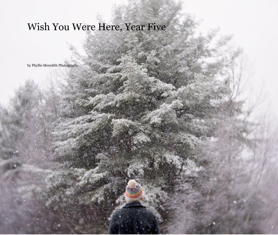 Visualizza Wish You Were Here, Year Five di Phyllis Meredith Photography