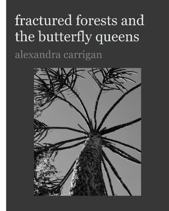 View fractured forests and the butterfly queens by Alexandra Carrigan