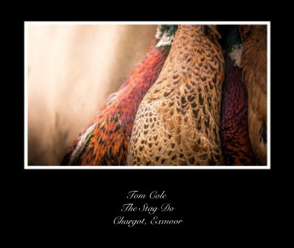 Tom Cole The Stag Do Chargot, Exmoor book cover