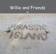 Willie and Friends book cover