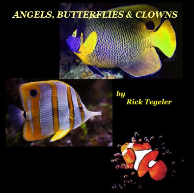Angels, Butterflies and Clowns book cover