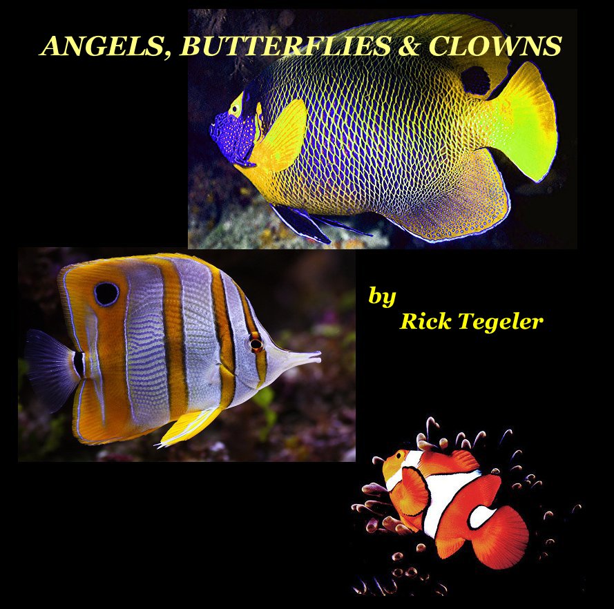 View Angels, Butterflies and Clowns by Dr. Rick Tegeler