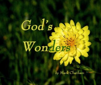 God's Wonders book cover