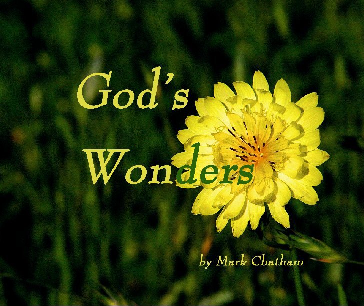 View God's Wonders by Mark Chatham