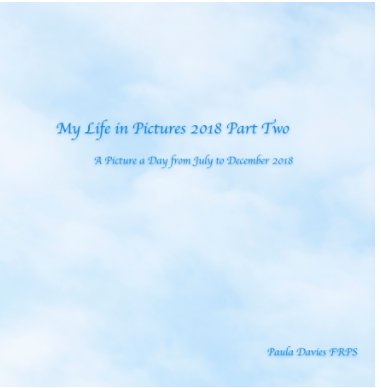 My Life in Pictures 2018 Part 2 book cover