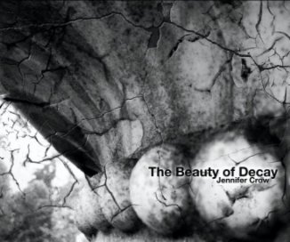The Beauty of Decay book cover