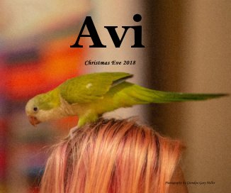 Avi book cover
