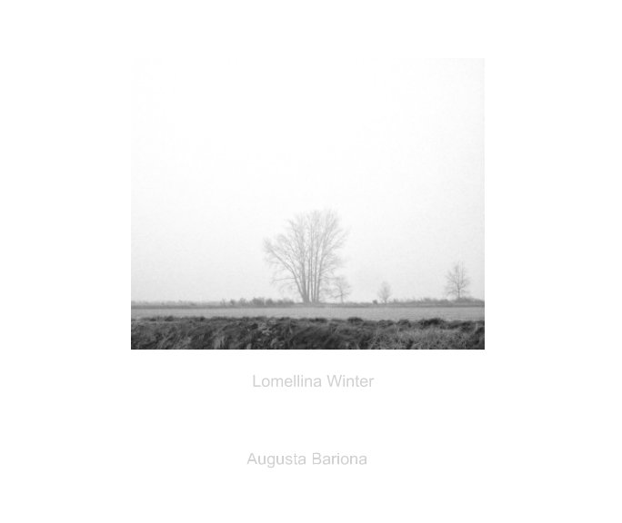 View Lomellina Winter by Augusta Bariona