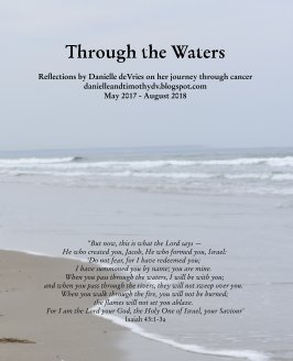 Through the Waters book cover