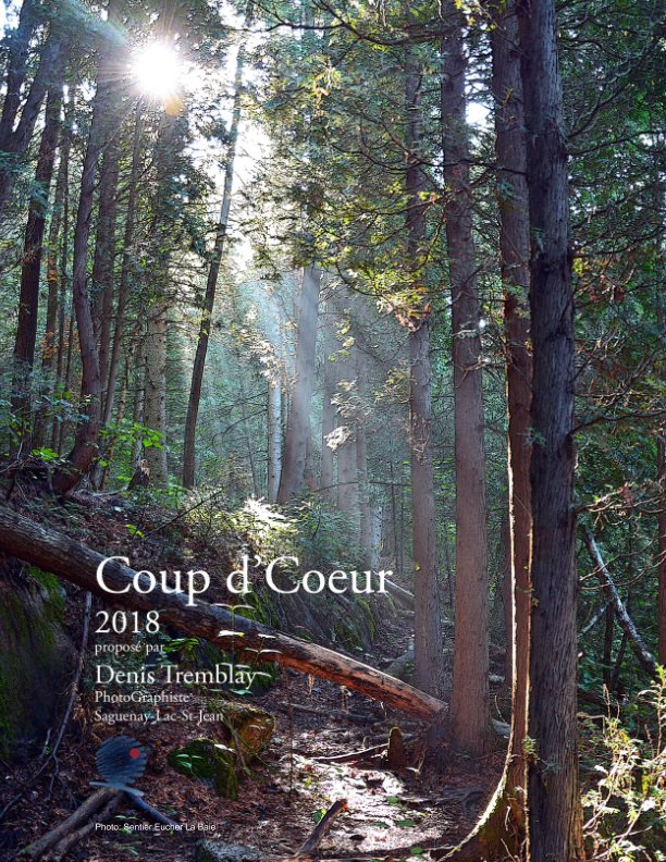 View Coup d'Ceur 2018 by Denis Tremblay