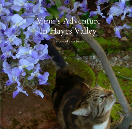 View Mimi's Adventure  In Hayes Valley  A story of sanctuary by gail baugh