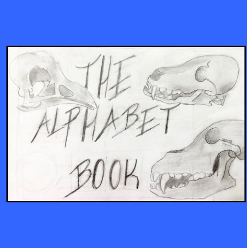 Visualizza The Alphabet Book di Rachael, May - December 2018
