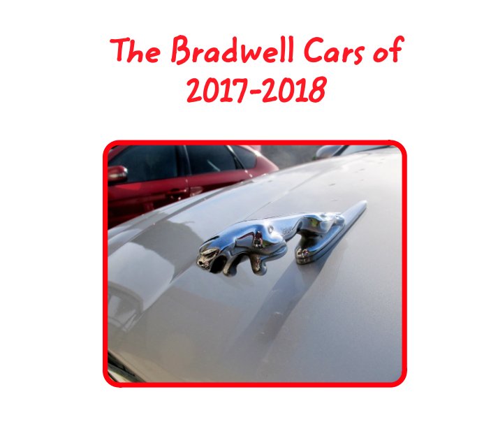 View The  Bradwell Cars of 2017 / 2018 by Kester Bradwell
