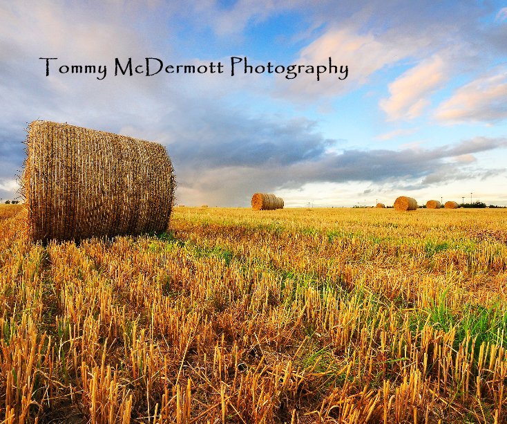 View Tommy McDermott Photography by tommymcdermo