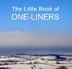 The Little Book of ONE-LINERS book cover
