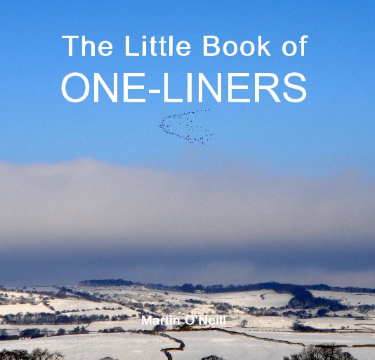 Visualizza The Little Book of ONE-LINERS di Martin O'Neill