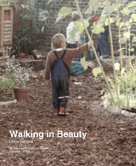 Walking in Beauty book cover