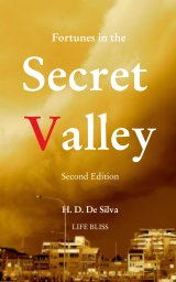 Fortunes in the Secret Valley book cover