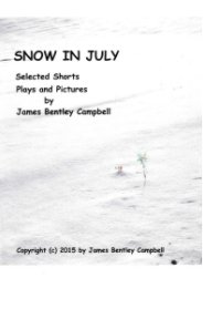 Snow in July book cover
