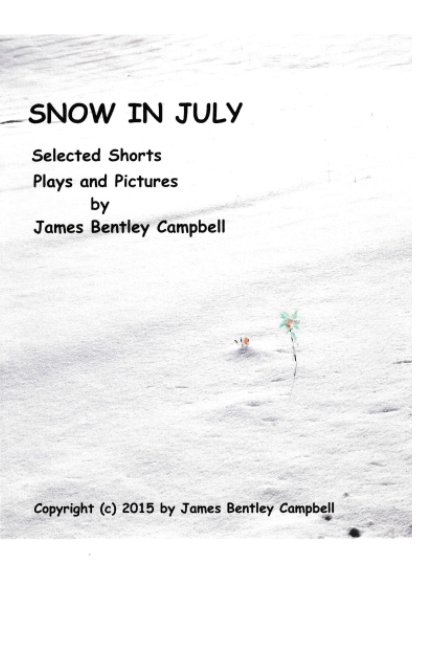 View Snow in July by James Campbell