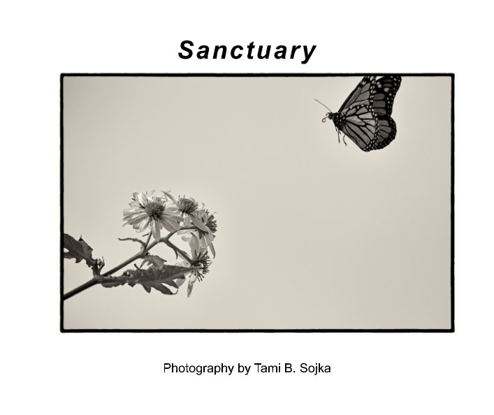 Visualizza Sanctuary di Tami B. Sojka