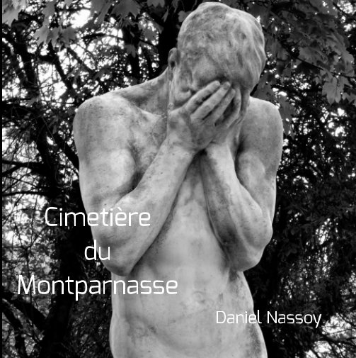 View "Cimetière du Montparnasse" 18x18 by Daniel Nassoy