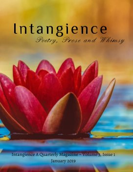 Intangience: A Quarterly Magazine Volume 3, Issue 1 book cover