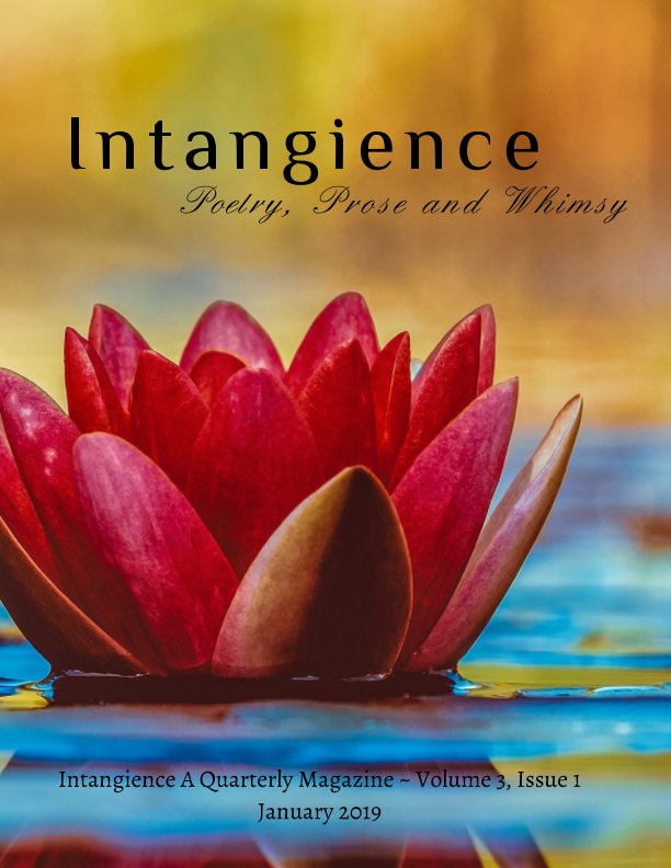 View Intangience: A Quarterly Magazine Volume 3, Issue 1 by M. Kari Barr