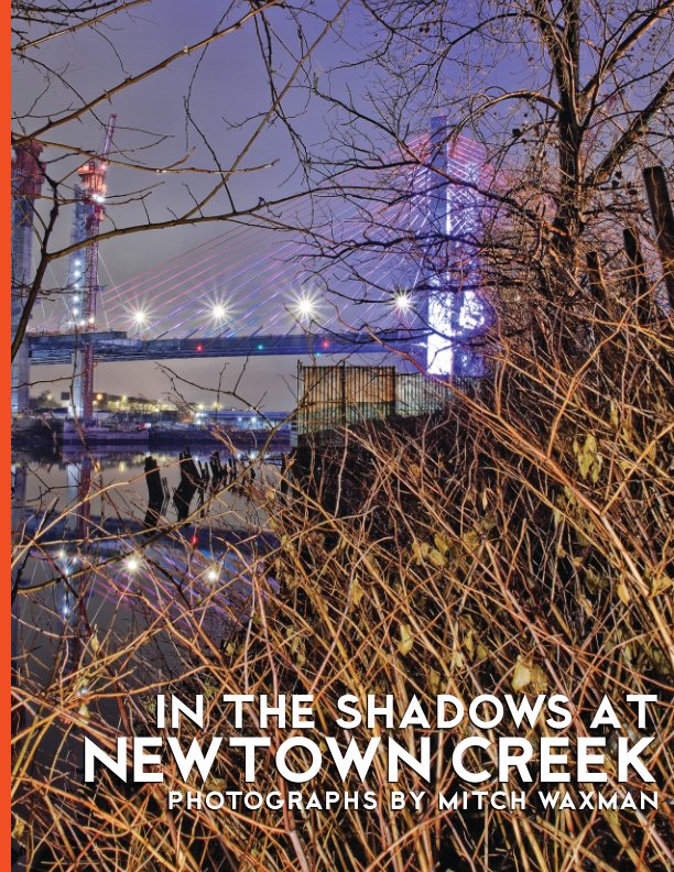 View In the shadows at Newtown Creek by Mitch Waxman