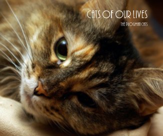 Cats of Our Lives book cover