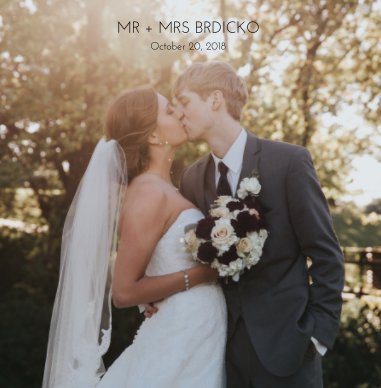Mr + Mrs Brdicko book cover