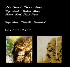 The Great Stone Face, Boy Rock, Indian Head Sunset Rock State Park book cover