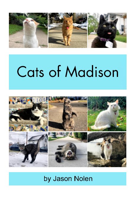Visualizza Cats of Madison di Jason Nolen