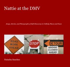 Nattie at the DMV book cover