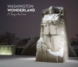 Washington Wonderland book cover