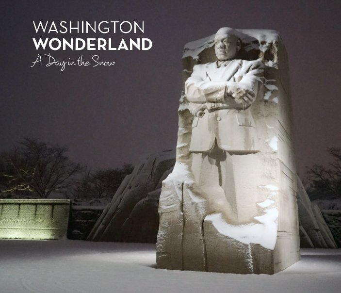 View Washington Wonderland by David Posey
