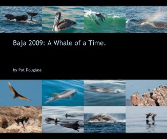 Baja 2009: A Whale of a Time. book cover