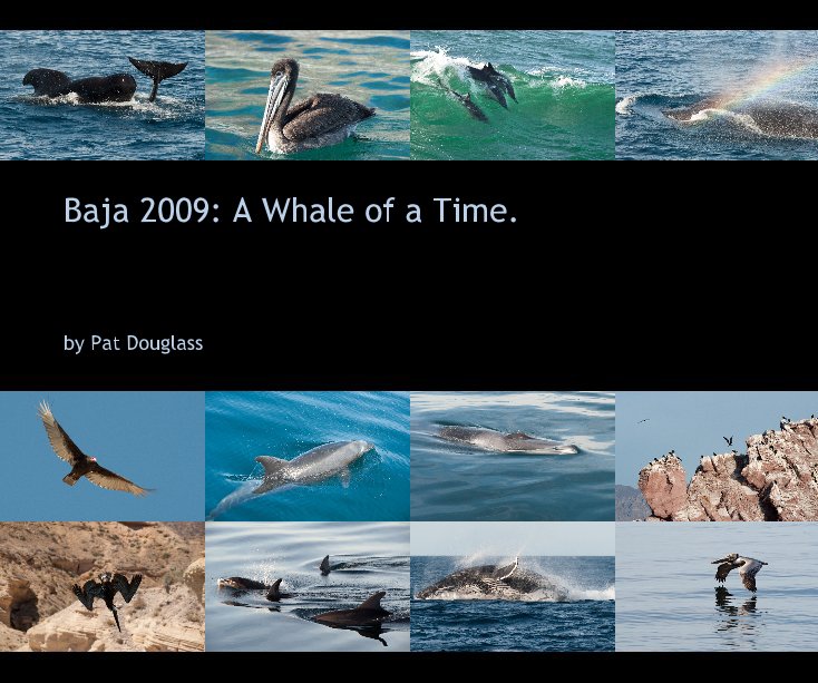 View Baja 2009: A Whale of a Time. by Pat Douglass