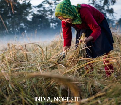 India, noreste book cover