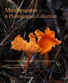 Mushrooms A Photographic Collection A Photographic Collection of Alabama Mushrooms by Brent and Deborah Holman book cover