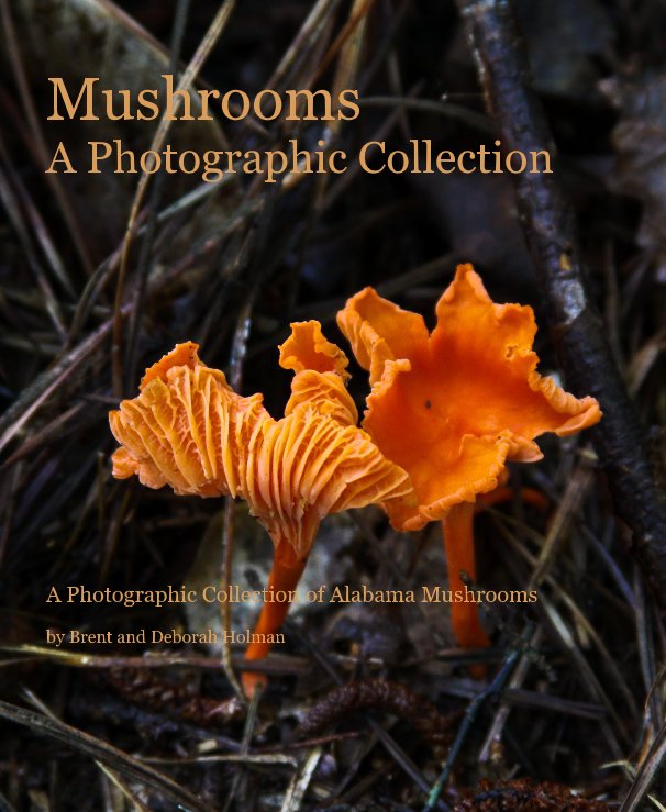 Visualizza Mushrooms A Photographic Collection A Photographic Collection of Alabama Mushrooms by Brent and Deborah Holman di Brent and Deborah Holman