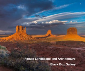 Focus: Landscape and Architecture book cover