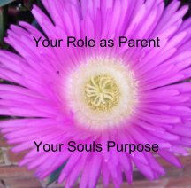 Your Souls Purpose as a Parent. book cover