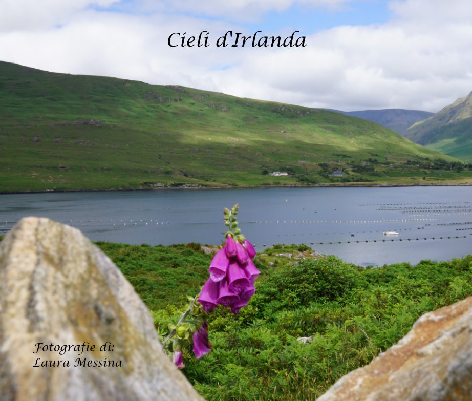 View Cieli d'Irlanda by Laura Messina